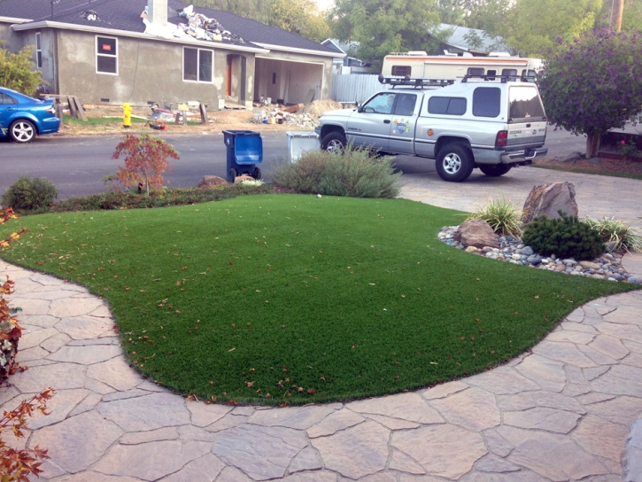 Synthetic Turf Redlands, California Rooftop, Front Yard Landscape Ideas