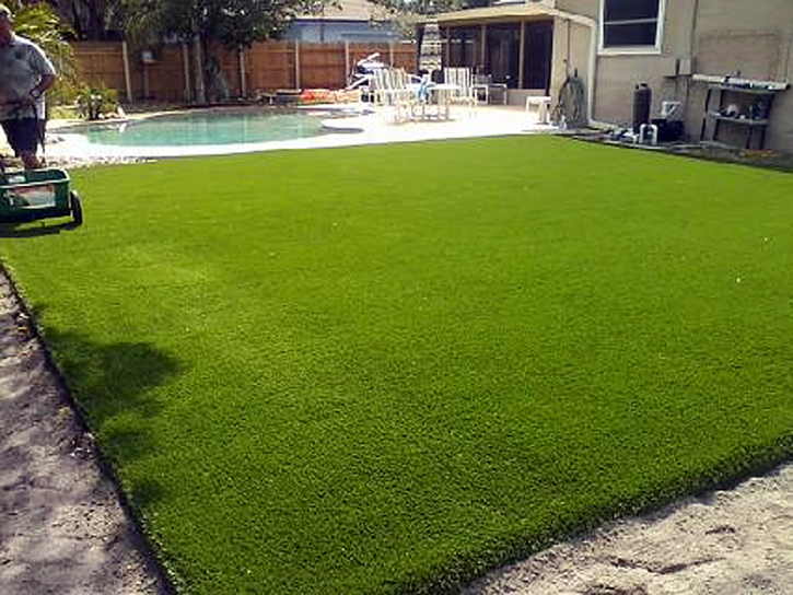 Synthetic Turf Sierra Madre, California Backyard Playground, Natural Swimming Pools