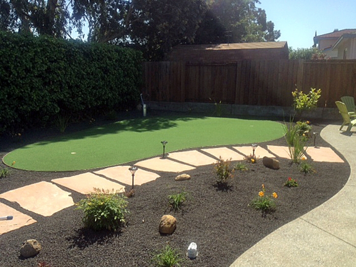 Synthetic Turf Supplier Agoura, California Indoor Putting Green, Backyard Landscaping