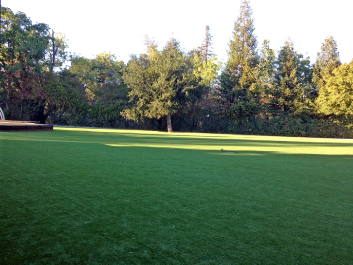 Synthetic Turf Supplier Beverly Hills, California Lawn And Landscape, Recreational Areas