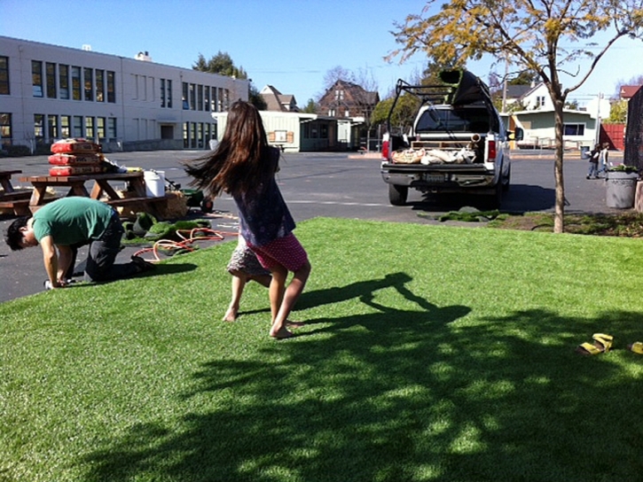 Synthetic Turf Supplier Malibu, California Roof Top, Commercial Landscape