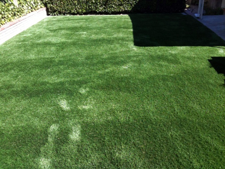 Synthetic Turf Supplier Muscoy, California Lawns, Small Backyard Ideas