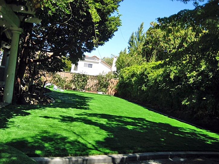 Synthetic Turf Supplier Pomona, California City Landscape, Backyard Landscaping