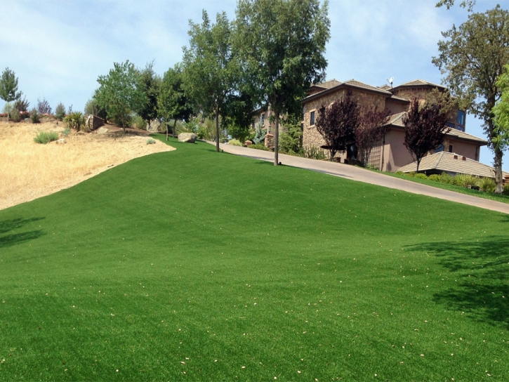 Synthetic Turf Supplier Universal City, California Lawn And Garden, Front Yard Landscape Ideas