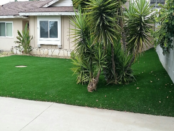 Synthetic Turf Temple City, California Gardeners, Front Yard