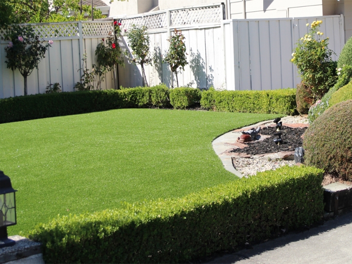 Synthetic Turf Upland, California Landscape Design, Front Yard Landscaping